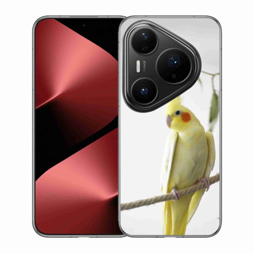 Gelový kryt mmCase na Huawei Pura 80 Pro - papoušek korela chocholatá