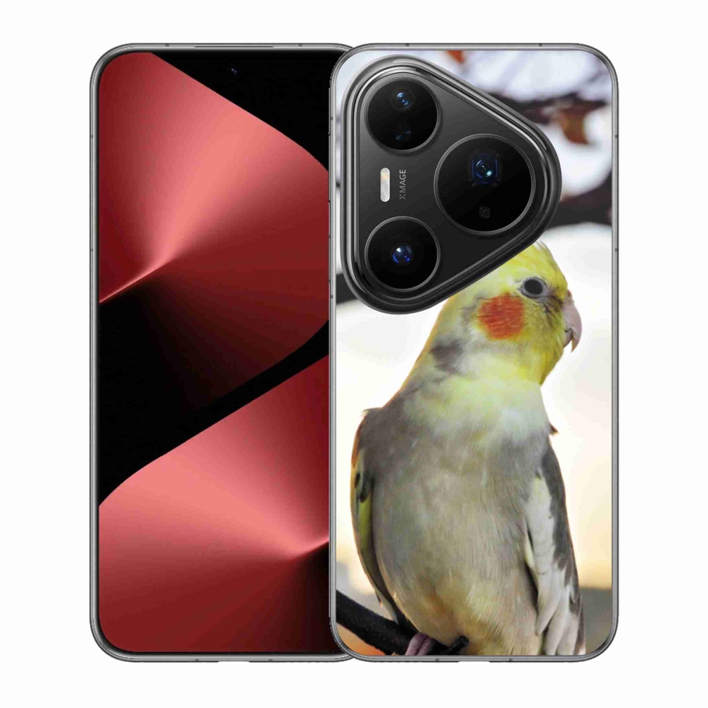 Gelový kryt mmCase na Huawei Pura 80 Pro - papoušek korela