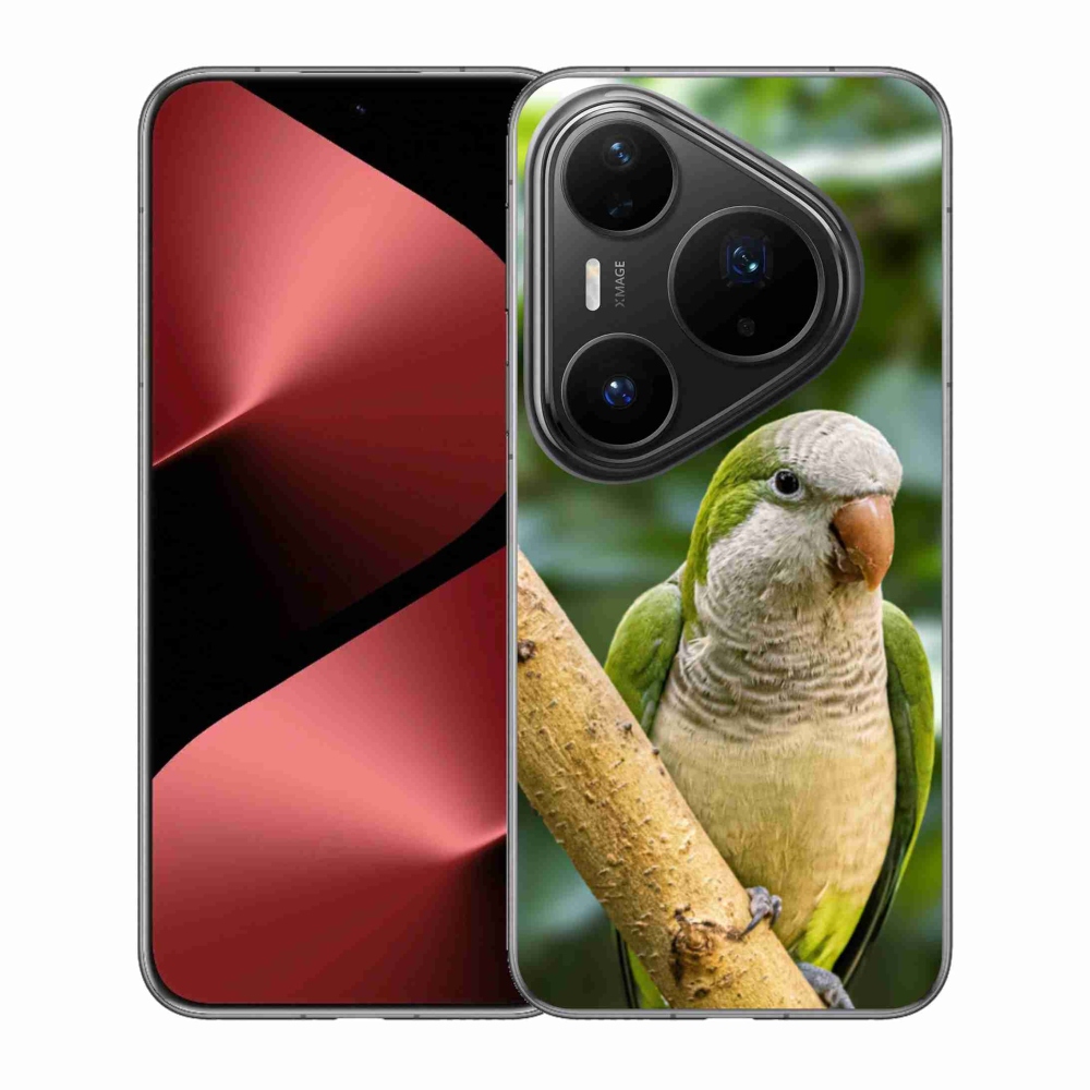 Gelový kryt mmCase na Huawei Pura 80 Pro - papoušek mníšek