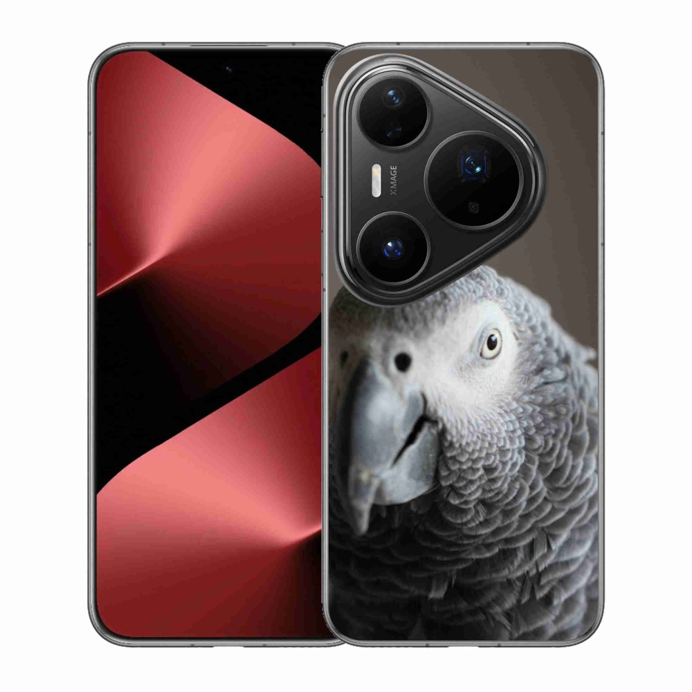 Gelový kryt mmCase na Huawei Pura 80 Pro - papoušek žako 2