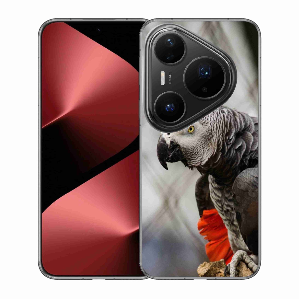 Gelový kryt mmCase na Huawei Pura 80 Pro - papoušek žako 3
