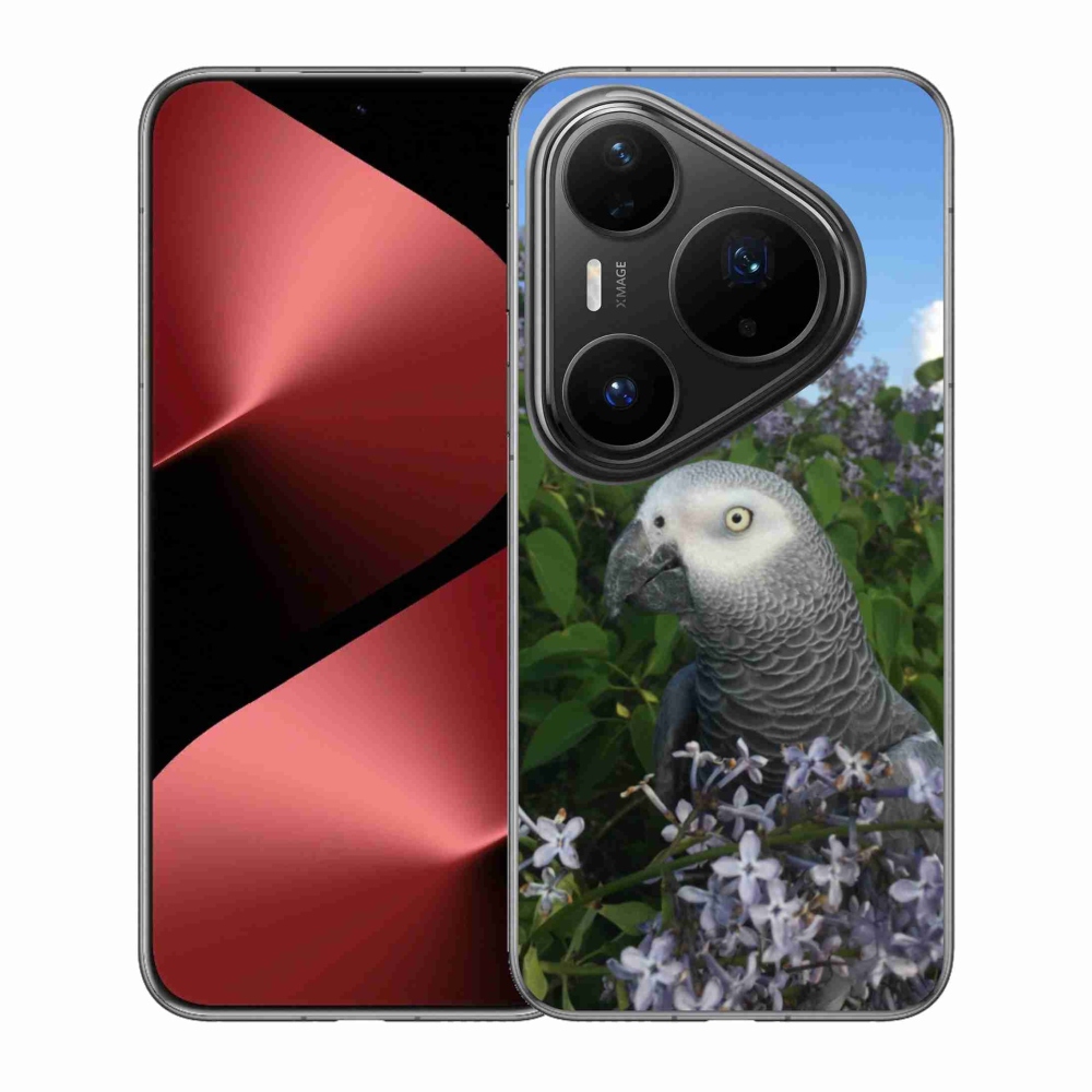 Gelový kryt mmCase na Huawei Pura 80 Pro - papoušek žako