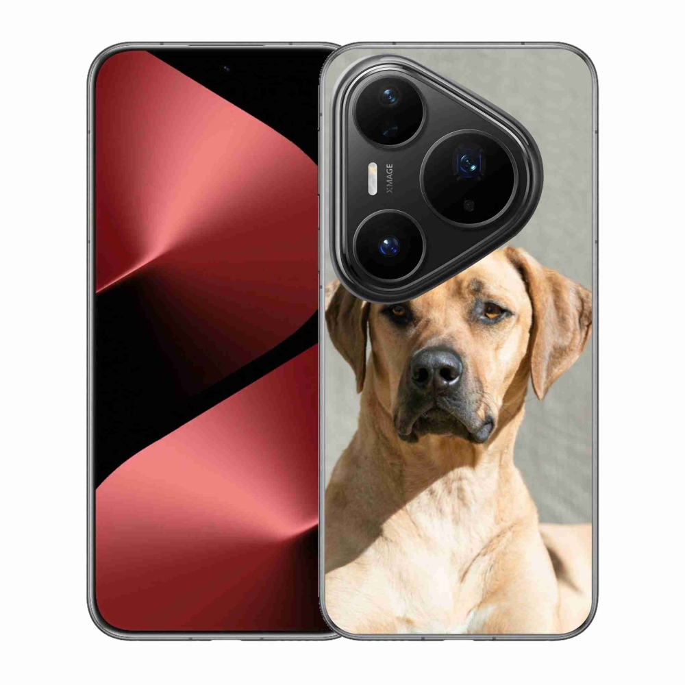 Gelový kryt mmCase na Huawei Pura 80 Pro - ridgeback
