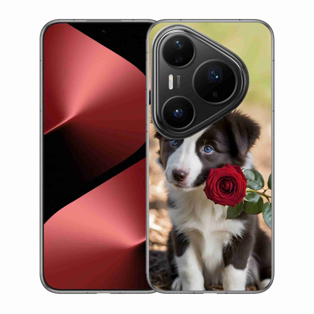 Gelový kryt mmCase na Huawei Pura 80 Pro - roztomilá border kolie s růží