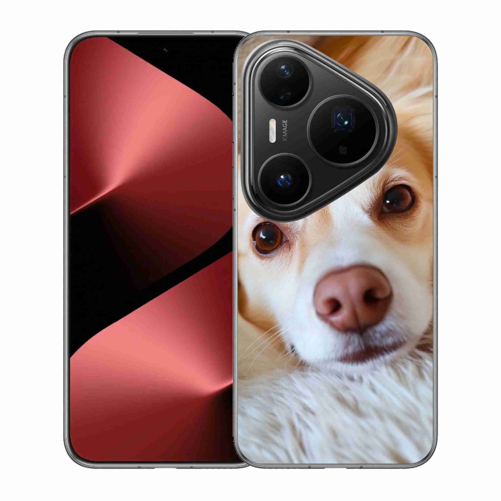 Gelový kryt mmCase na Huawei Pura 80 Pro - Roztomilá čivava