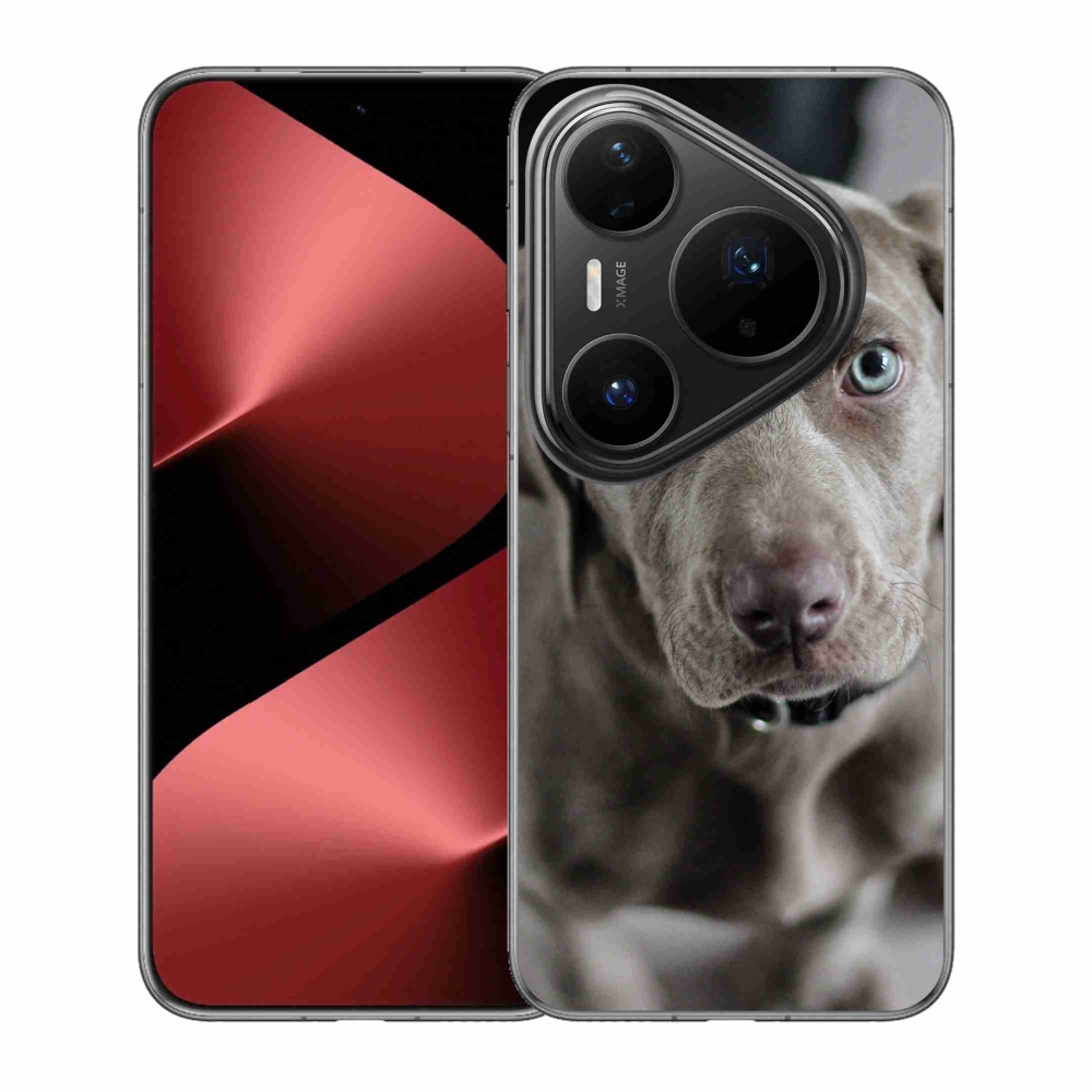 Gelový kryt mmCase na Huawei Pura 80 Pro - výmarský ohař