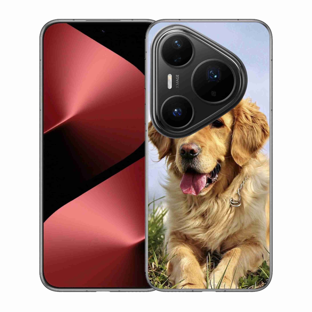 Gelový kryt mmCase na Huawei Pura 80 Pro - zlatý retrívr