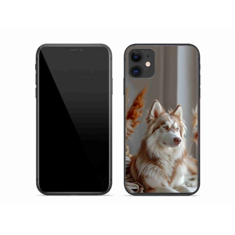 Gelový kryt mmCase na iPhone 11 - klidný sibiřský husky