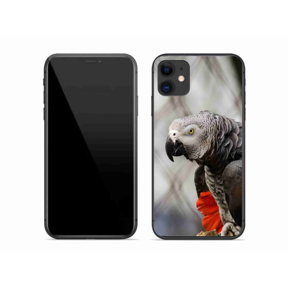 Gelový kryt mmCase na iPhone 11 - papoušek žako 3