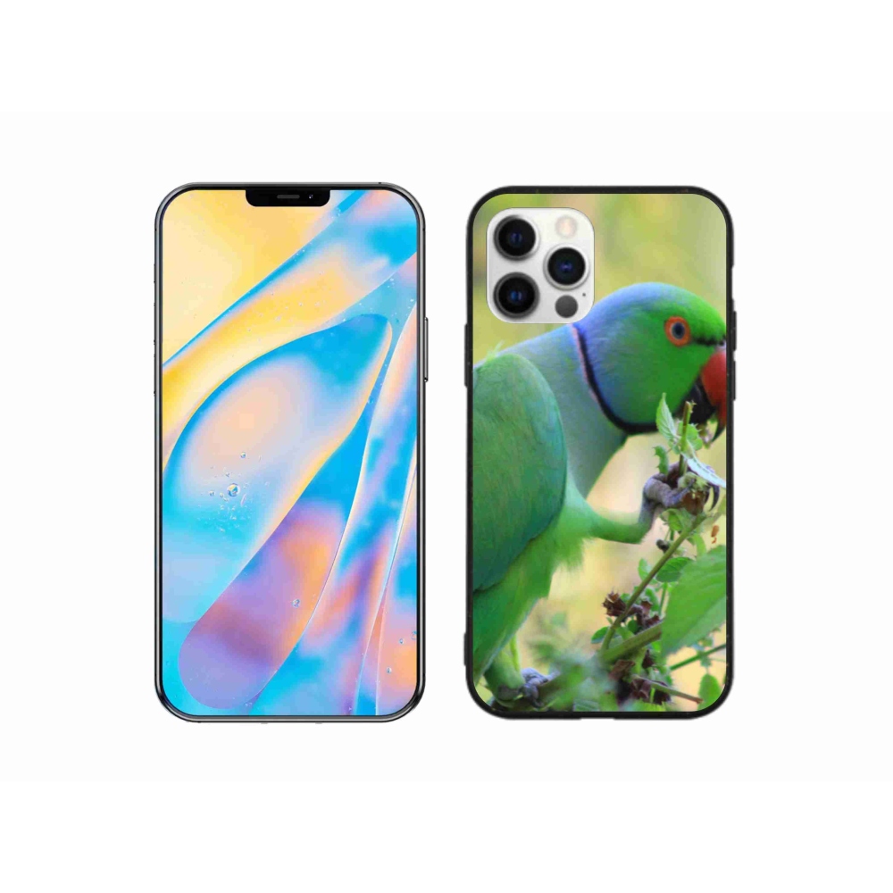 Gelový kryt mmCase na iPhone 12 - papoušek alexandr