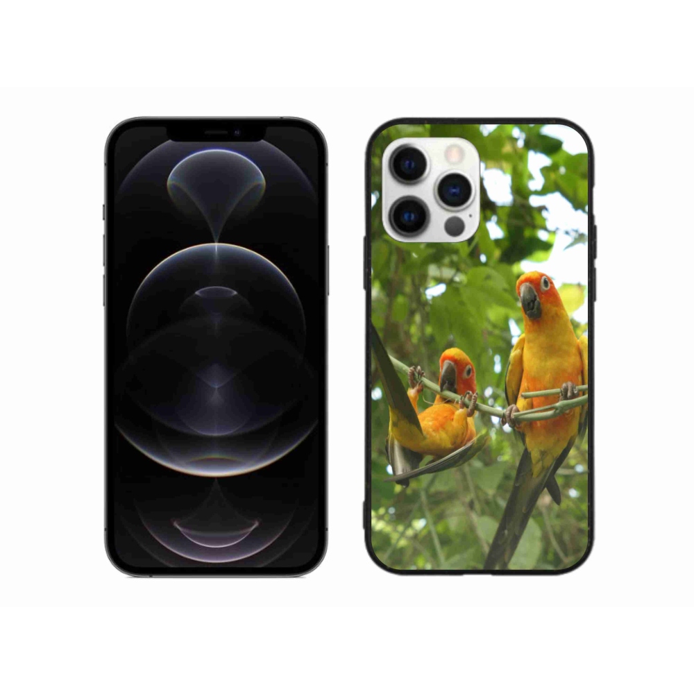 Gelový kryt mmCase na iPhone 12 Pro Max - papoušci aratingy