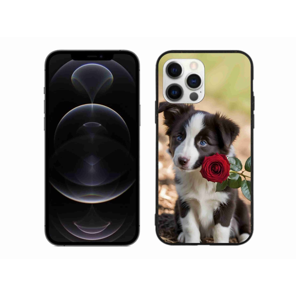 Gelový kryt mmCase na iPhone 12 Pro Max - roztomilá border kolie s růží