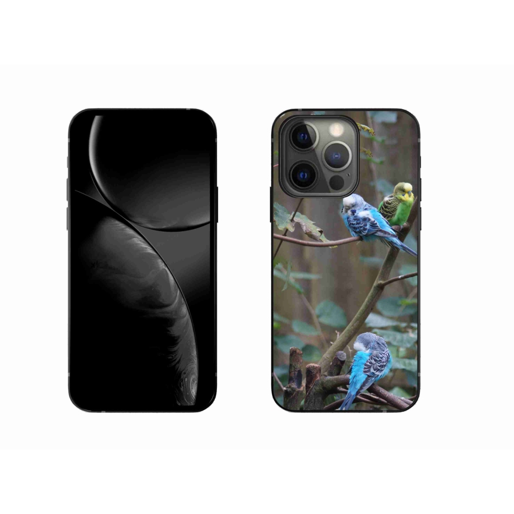 Gelový kryt mmCase na iPhone 13 Pro - papoušci na větvi