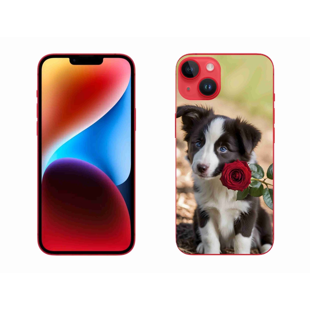 Gelový kryt mmCase na iPhone 14 Plus - roztomilá border kolie s růží