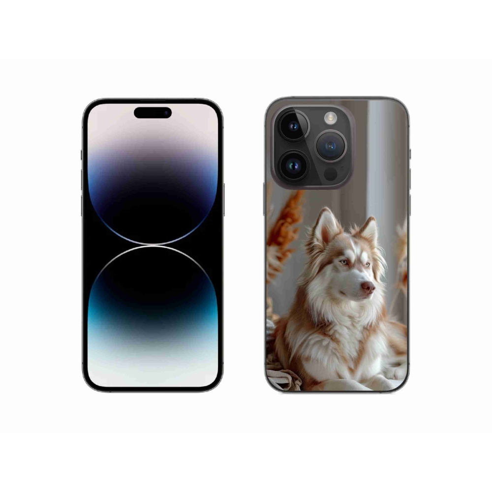 Gelový kryt mmCase na iPhone 14 Pro - klidný sibiřský husky