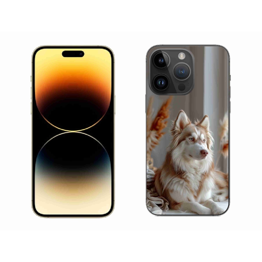 Gelový kryt mmCase na iPhone 14 Pro Max - klidný sibiřský husky
