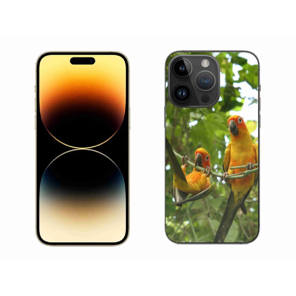 Gelový kryt mmCase na iPhone 14 Pro Max - papoušci aratingy