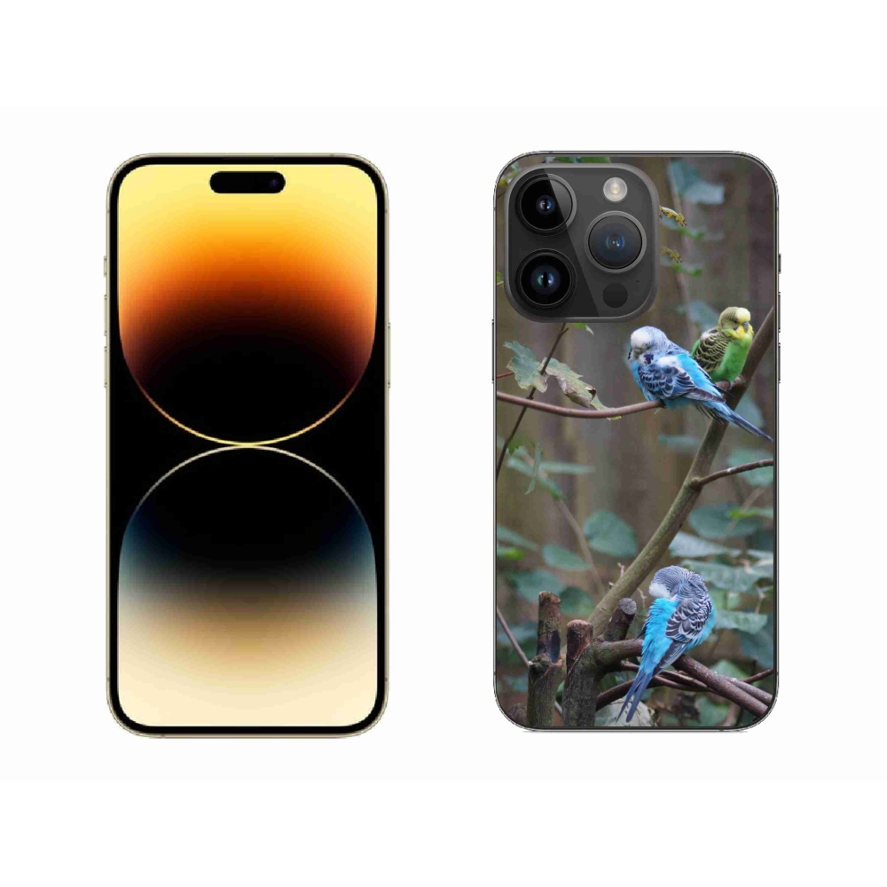 Gelový kryt mmCase na iPhone 14 Pro Max - papoušci na větvi