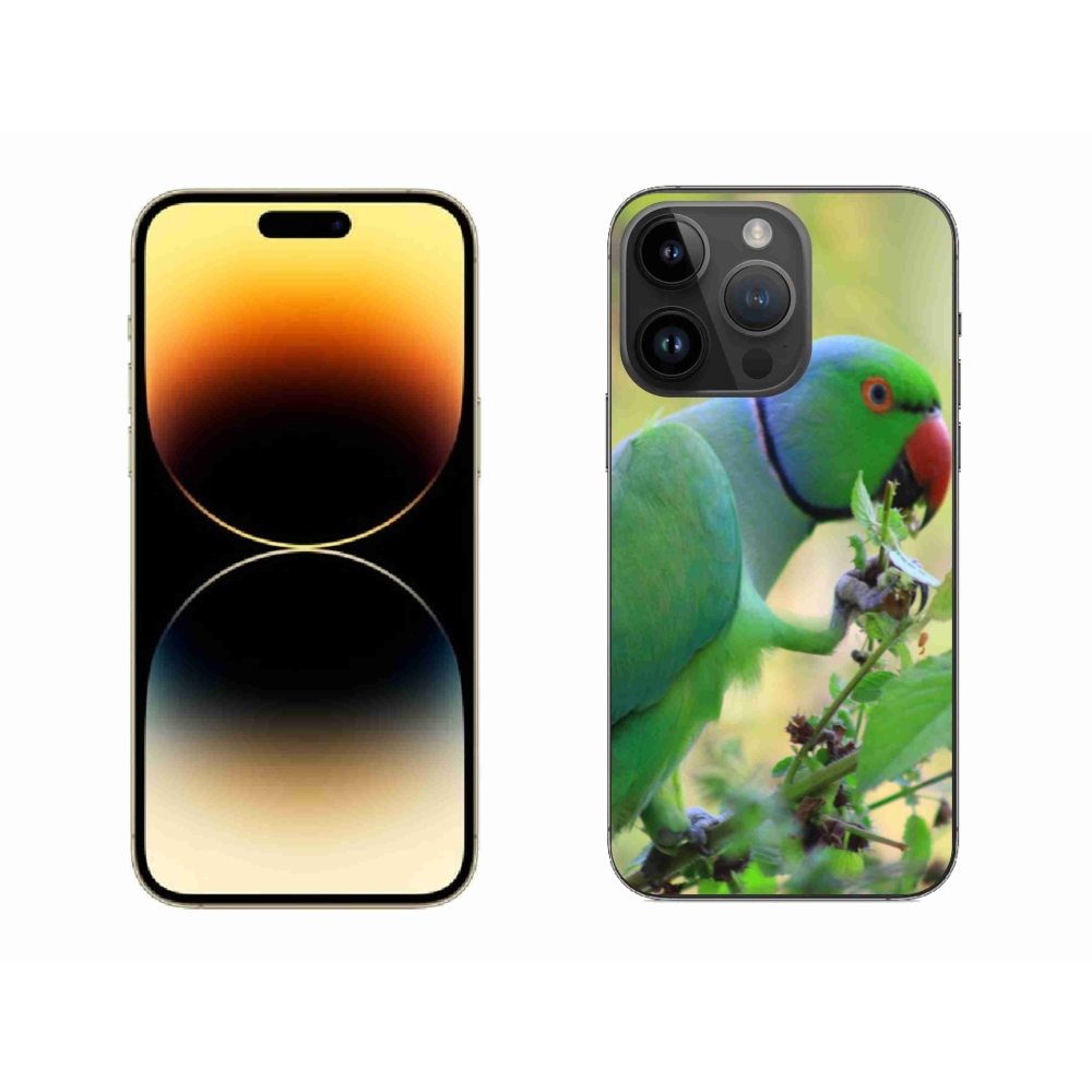 Gelový kryt mmCase na iPhone 14 Pro Max - papoušek alexandr