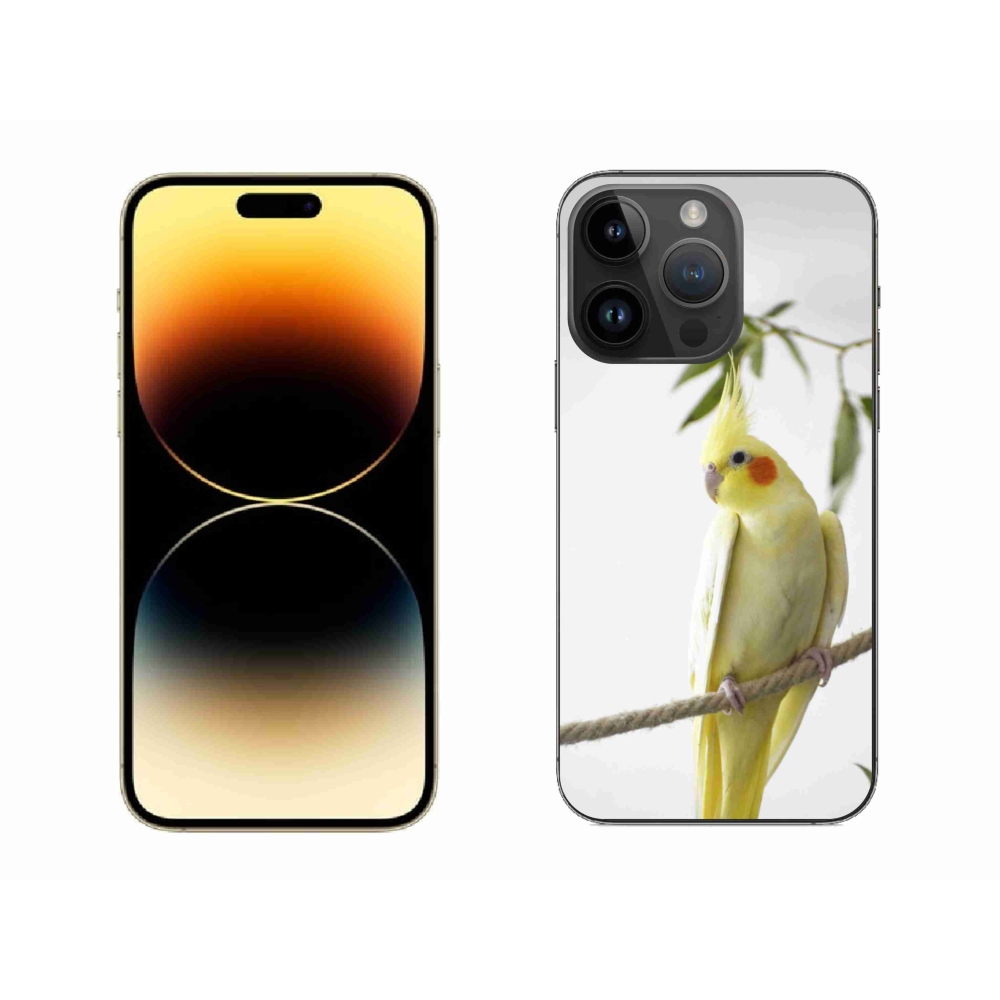 Gelový kryt mmCase na iPhone 14 Pro Max - papoušek korela chocholatá