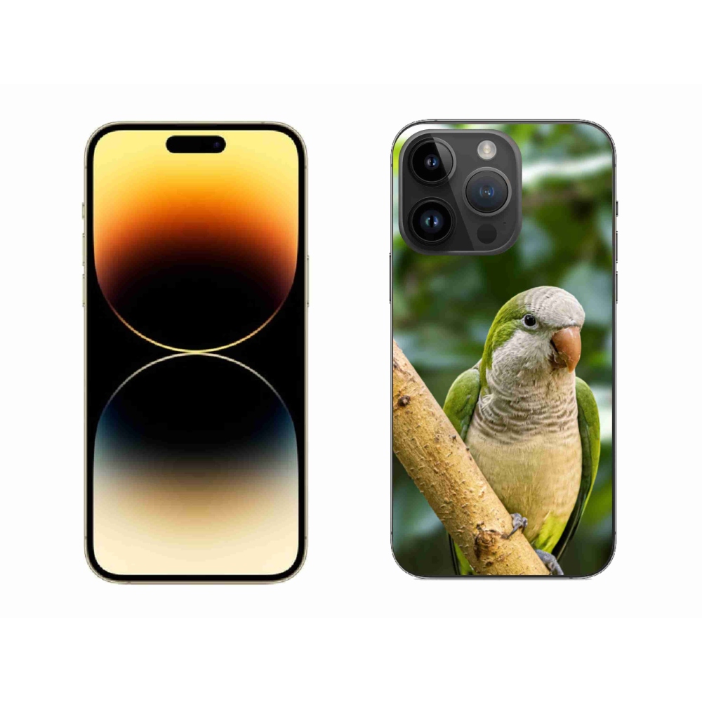 Gelový kryt mmCase na iPhone 14 Pro Max - papoušek mníšek