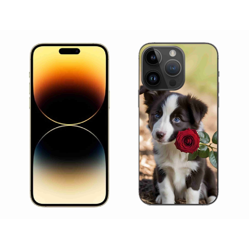 Gelový kryt mmCase na iPhone 14 Pro Max - roztomilá border kolie s růží