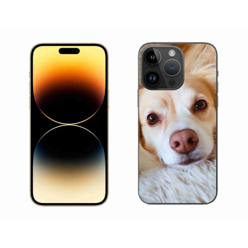 Gelový kryt mmCase na iPhone 14 Pro Max - Roztomilá čivava