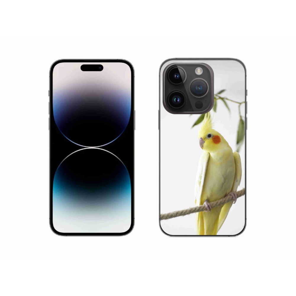 Gelový kryt mmCase na iPhone 14 Pro - papoušek korela chocholatá