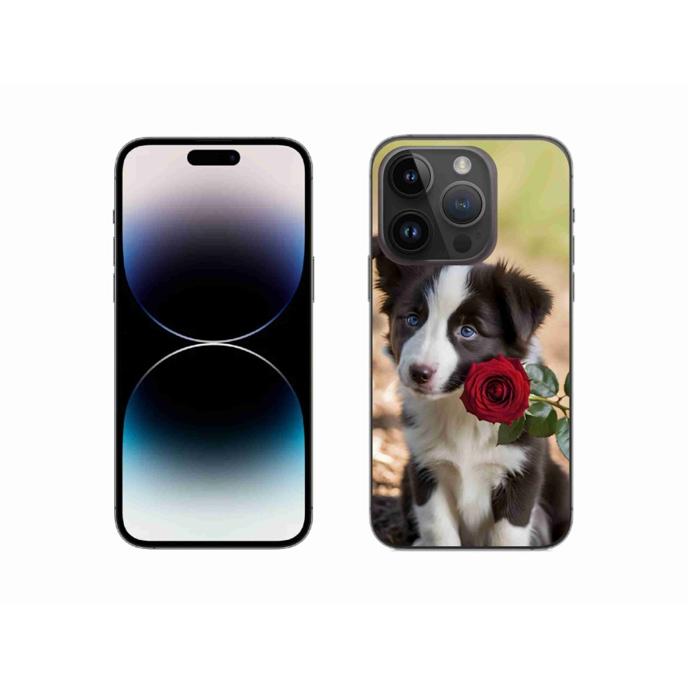 Gelový kryt mmCase na iPhone 14 Pro - roztomilá border kolie s růží