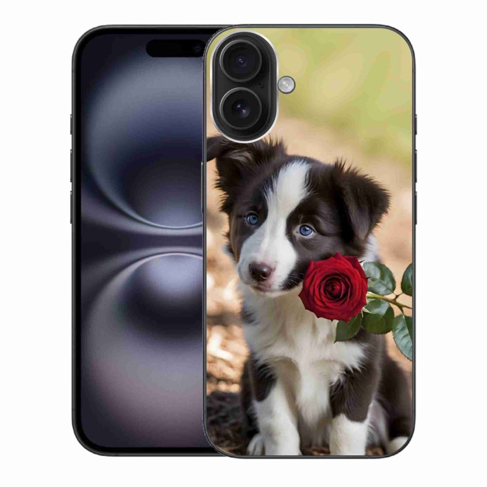 Gelový kryt mmCase na iPhone 16 Plus - roztomilá border kolie s růží