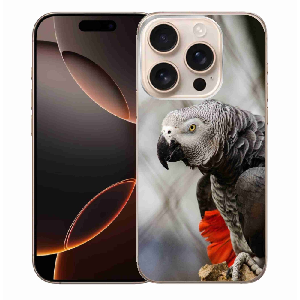 Gelový kryt mmCase na iPhone 16 Pro Max - papoušek žako 3