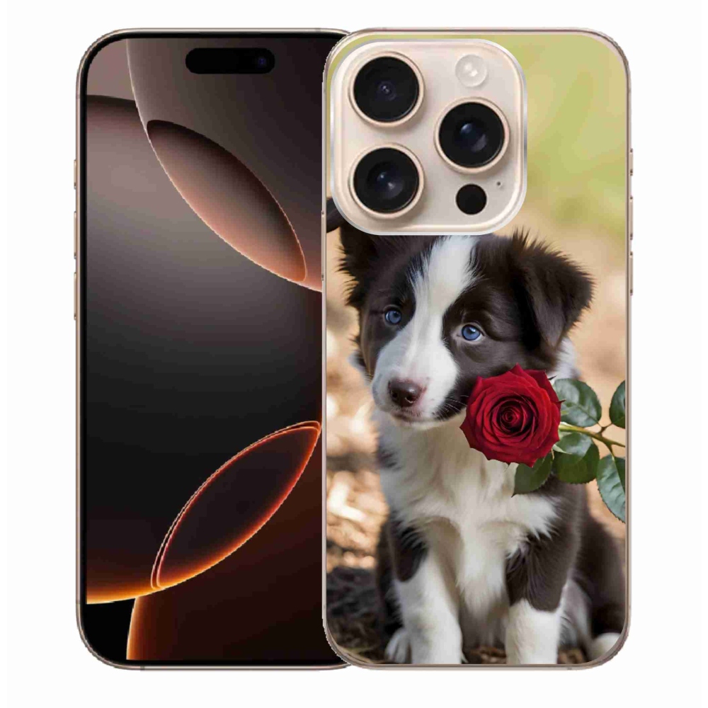 Gelový kryt mmCase na iPhone 16 Pro Max - roztomilá border kolie s růží