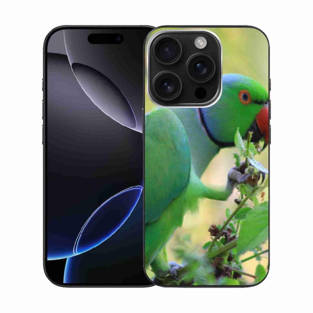 Gelový kryt mmCase na iPhone 16 Pro - papoušek alexandr