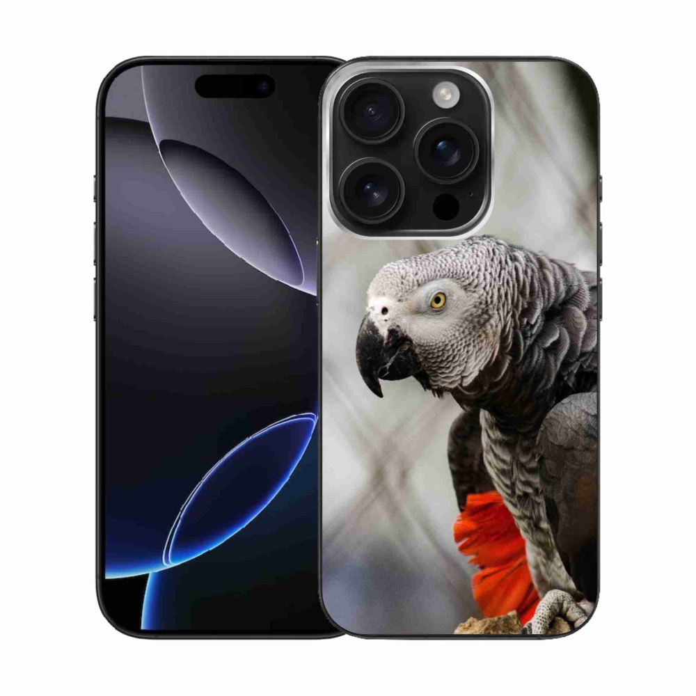 Gelový kryt mmCase na iPhone 16 Pro - papoušek žako 3