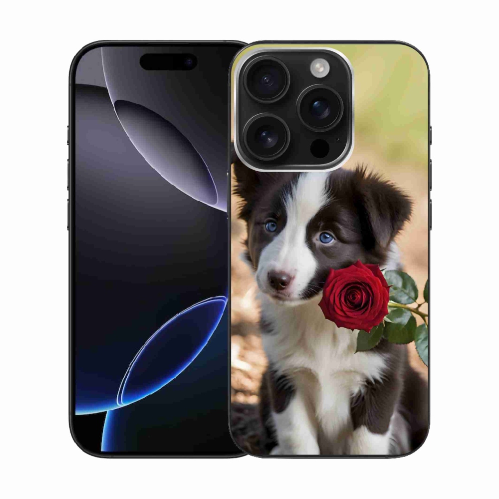 Gelový kryt mmCase na iPhone 16 Pro - roztomilá border kolie s růží
