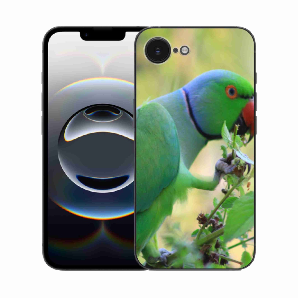 Gelový kryt mmCase na iPhone 16e - papoušek alexandr