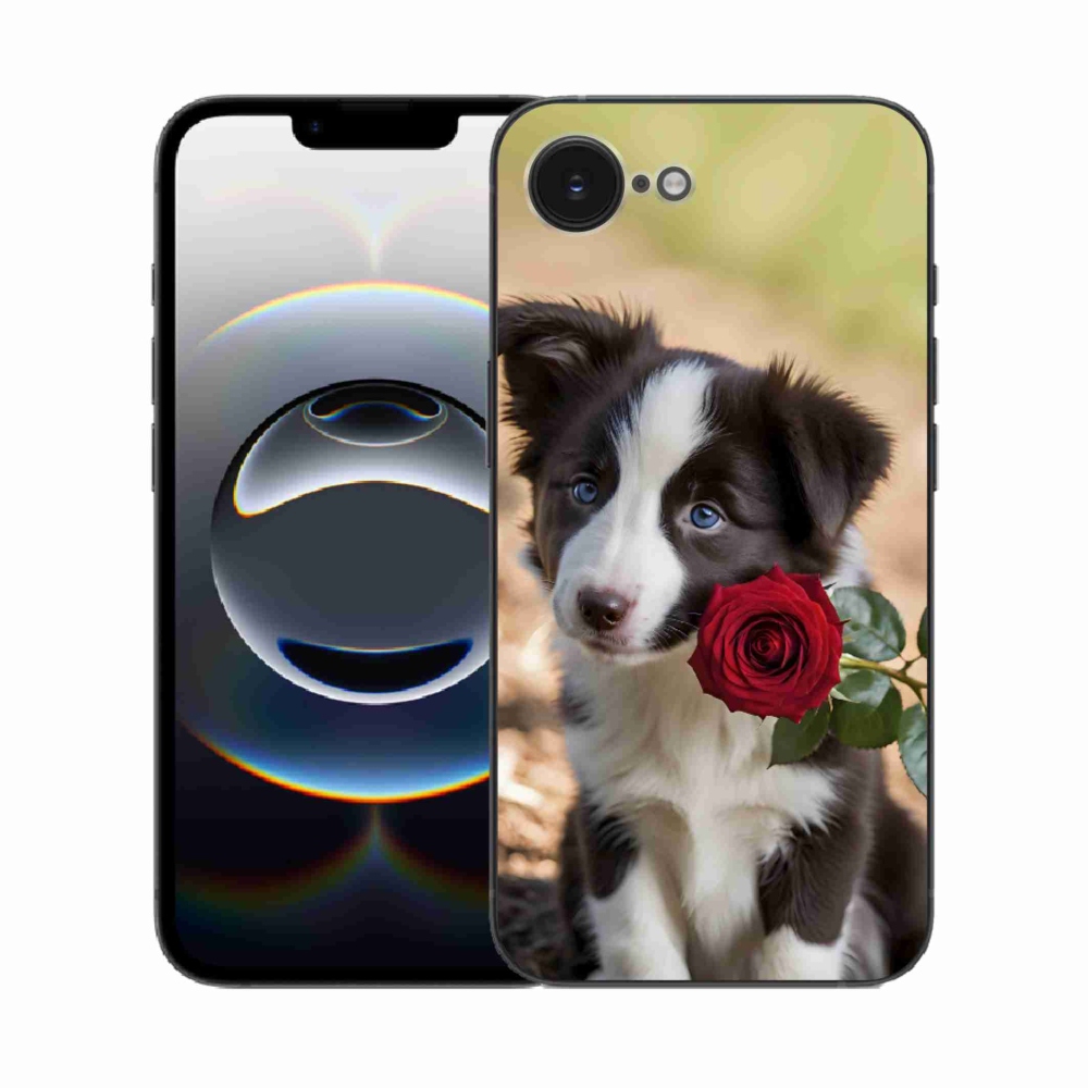 Gelový kryt mmCase na iPhone 16e - roztomilá border kolie s růží