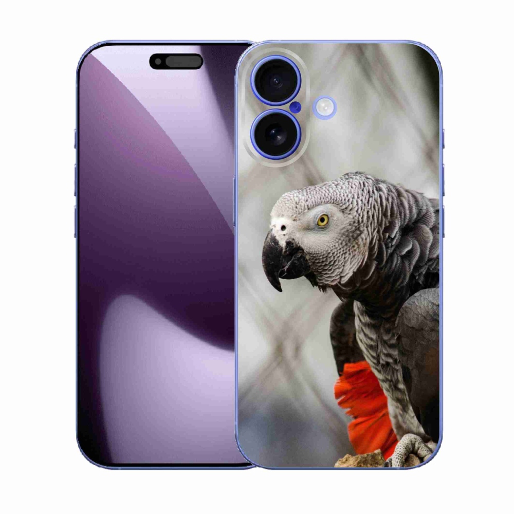 Gelový kryt mmCase na iPhone 17 - papoušek žako 3