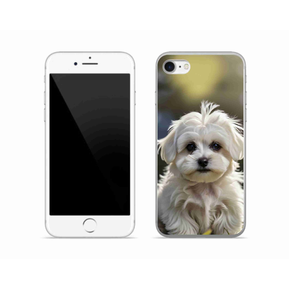 Gelový kryt mmCase na iPhone SE (2020) - roztomilý maltézský psík