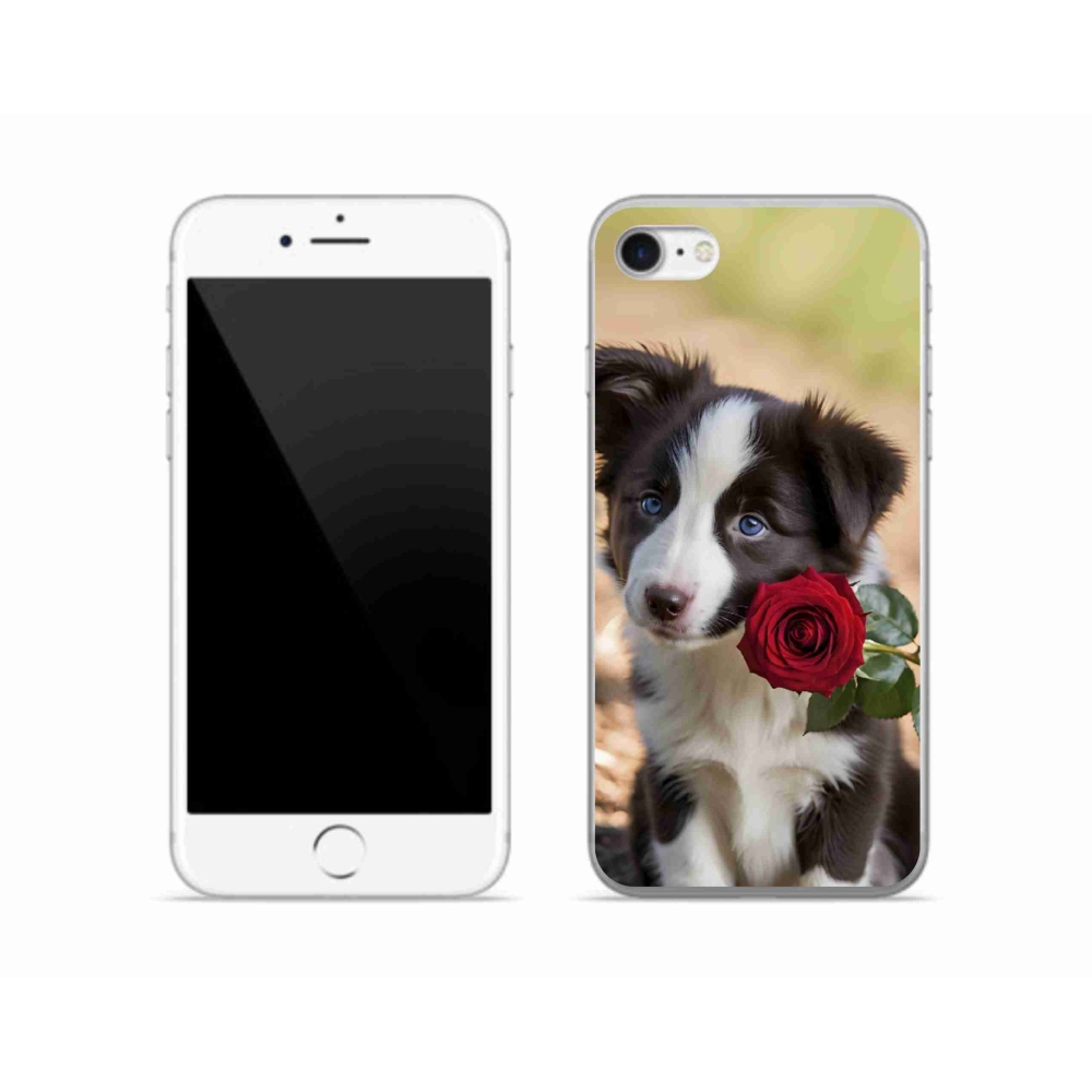 Gelový kryt mmCase na iPhone SE (2022) - roztomilá border kolie s růží