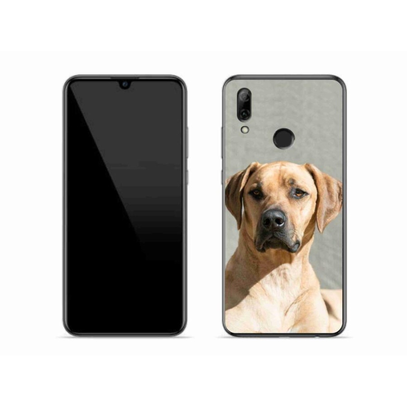 Gelový kryt mmCase na mobil Honor 10 Lite - ridgeback