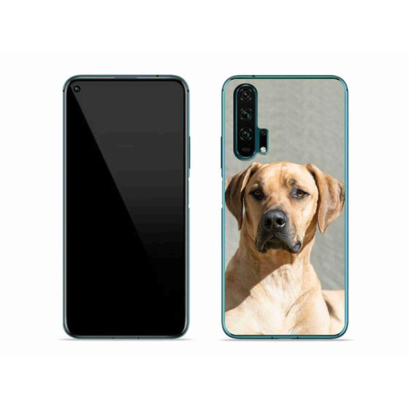 Gelový kryt mmCase na mobil Honor 20 Pro - ridgeback