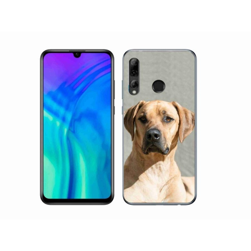Gelový kryt mmCase na mobil Honor 20e - ridgeback