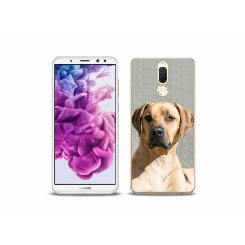 Gelový kryt mmCase na mobil Huawei Mate 10 Lite - ridgeback