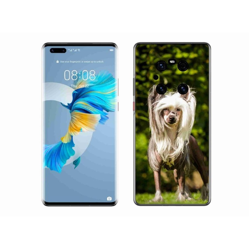Gelový kryt mmCase na mobil Huawei Mate 40 Pro - čínský chocholatý pes