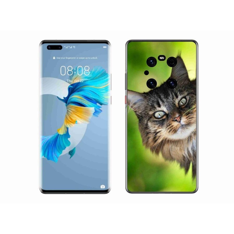 Gelový kryt mmCase na mobil Huawei Mate 40 Pro - kočka 3