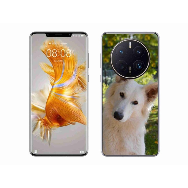 Gelový kryt mmCase na mobil Huawei Mate 50 Pro - bílý švýcarský ovčák 1