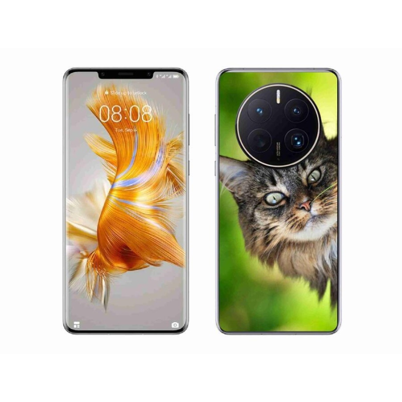 Gelový kryt mmCase na mobil Huawei Mate 50 Pro - kočka 3