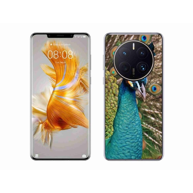 Gelový kryt mmCase na mobil Huawei Mate 50 Pro - páv