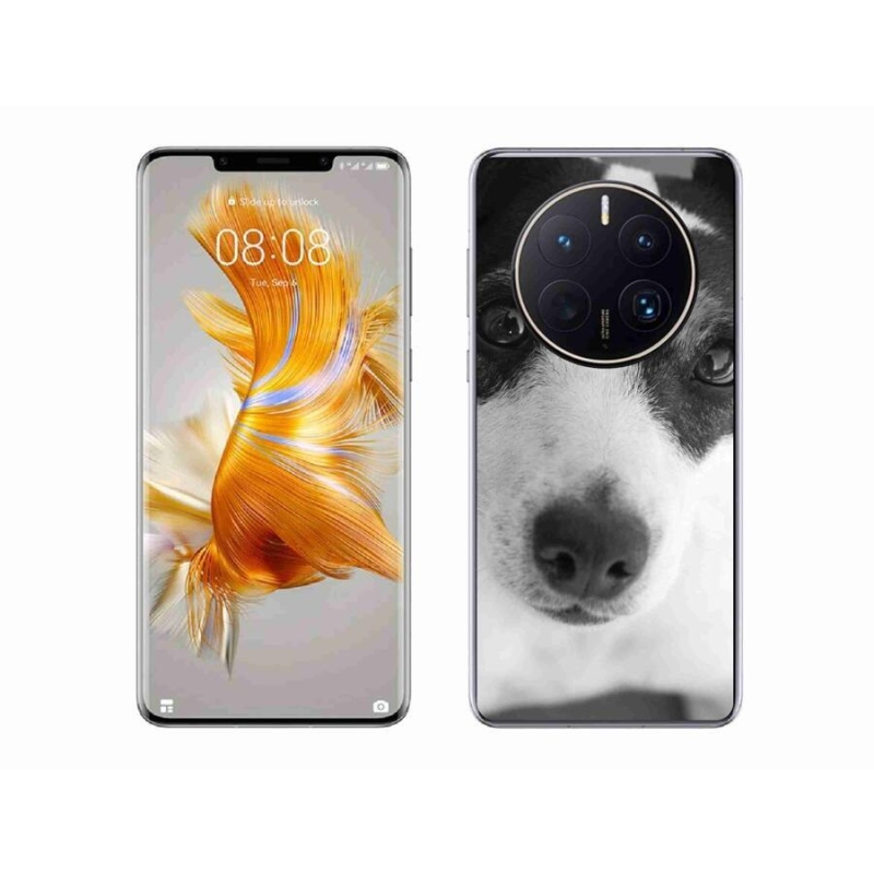Gelový kryt mmCase na mobil Huawei Mate 50 Pro - pes